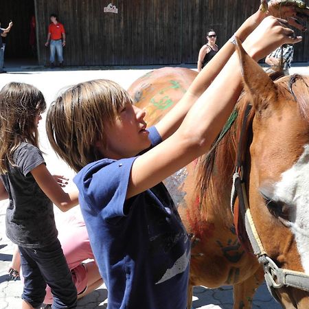 Espi-Stables Ferienhof Esterhammer Liebenau  Ngoại thất bức ảnh