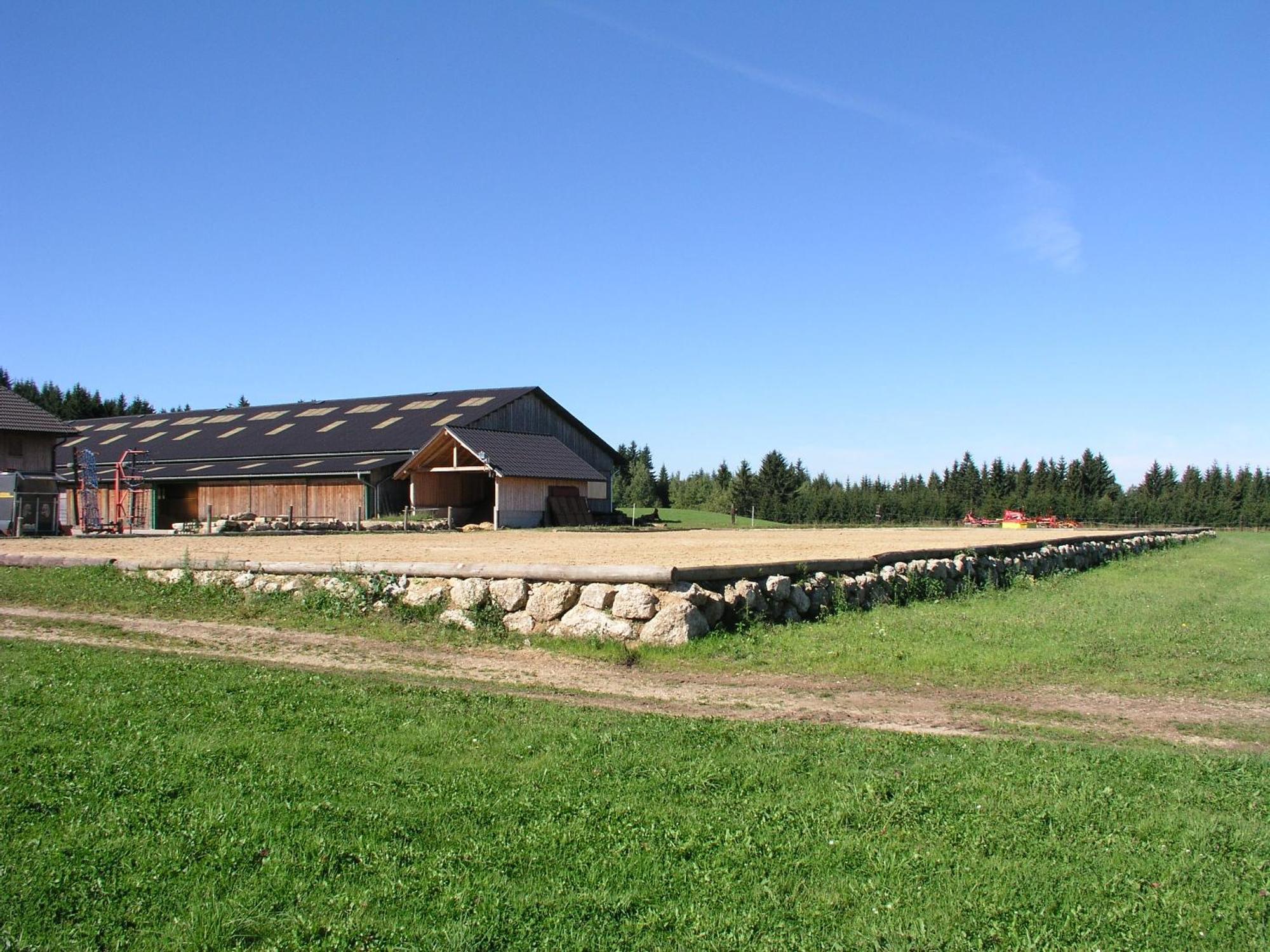 Espi-Stables Ferienhof Esterhammer Liebenau  Ngoại thất bức ảnh