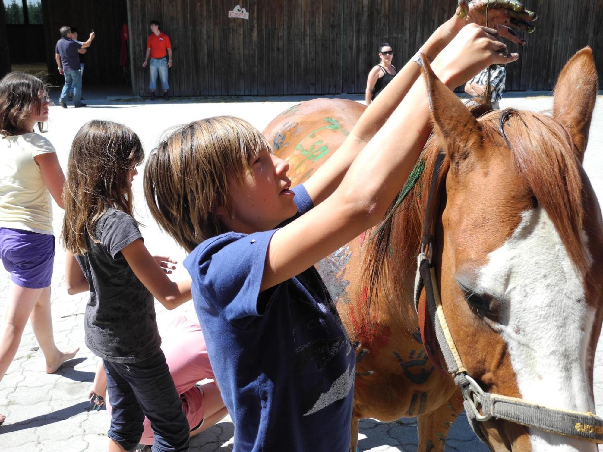 Espi-Stables Ferienhof Esterhammer Liebenau  Ngoại thất bức ảnh