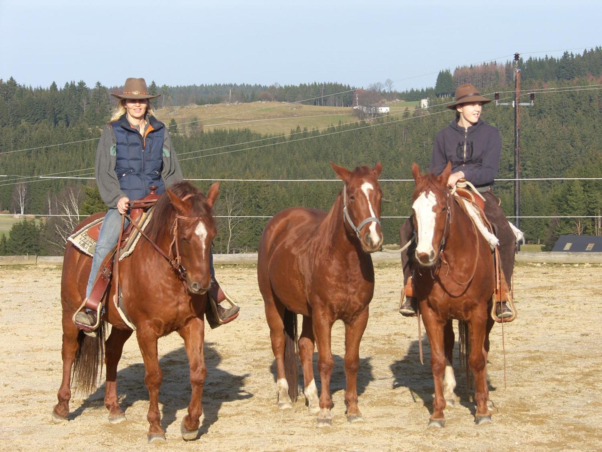 Espi-Stables Ferienhof Esterhammer Liebenau  Ngoại thất bức ảnh