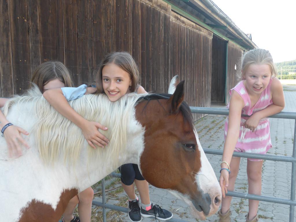 Espi-Stables Ferienhof Esterhammer Liebenau  Ngoại thất bức ảnh