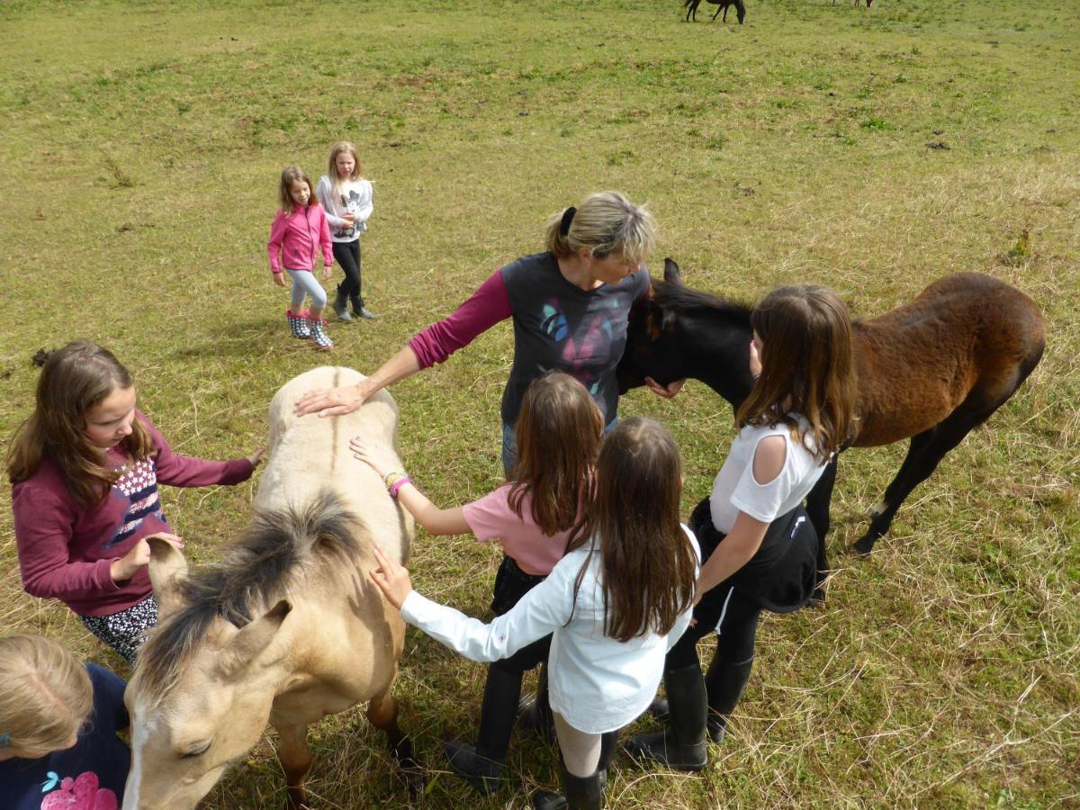 Espi-Stables Ferienhof Esterhammer Liebenau  Ngoại thất bức ảnh
