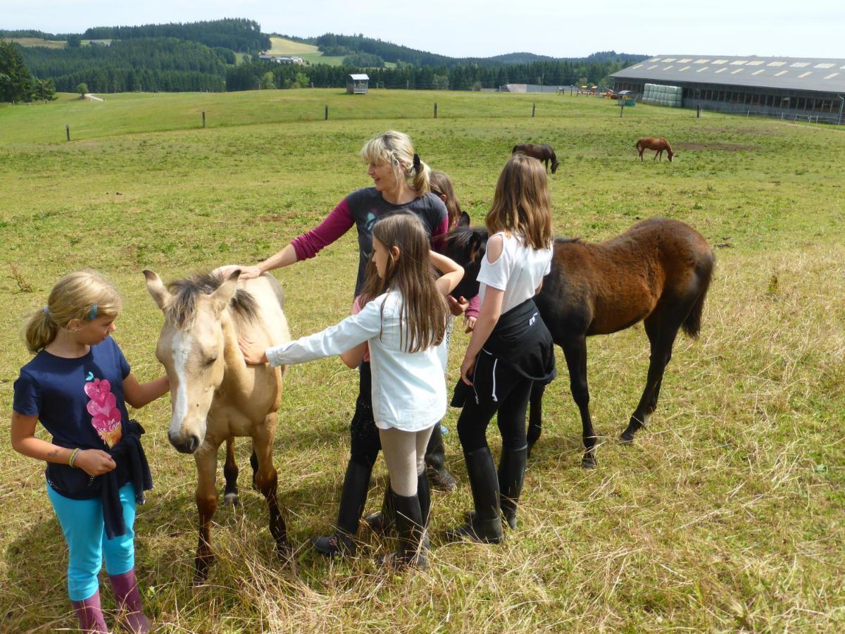 Espi-Stables Ferienhof Esterhammer Liebenau  Ngoại thất bức ảnh